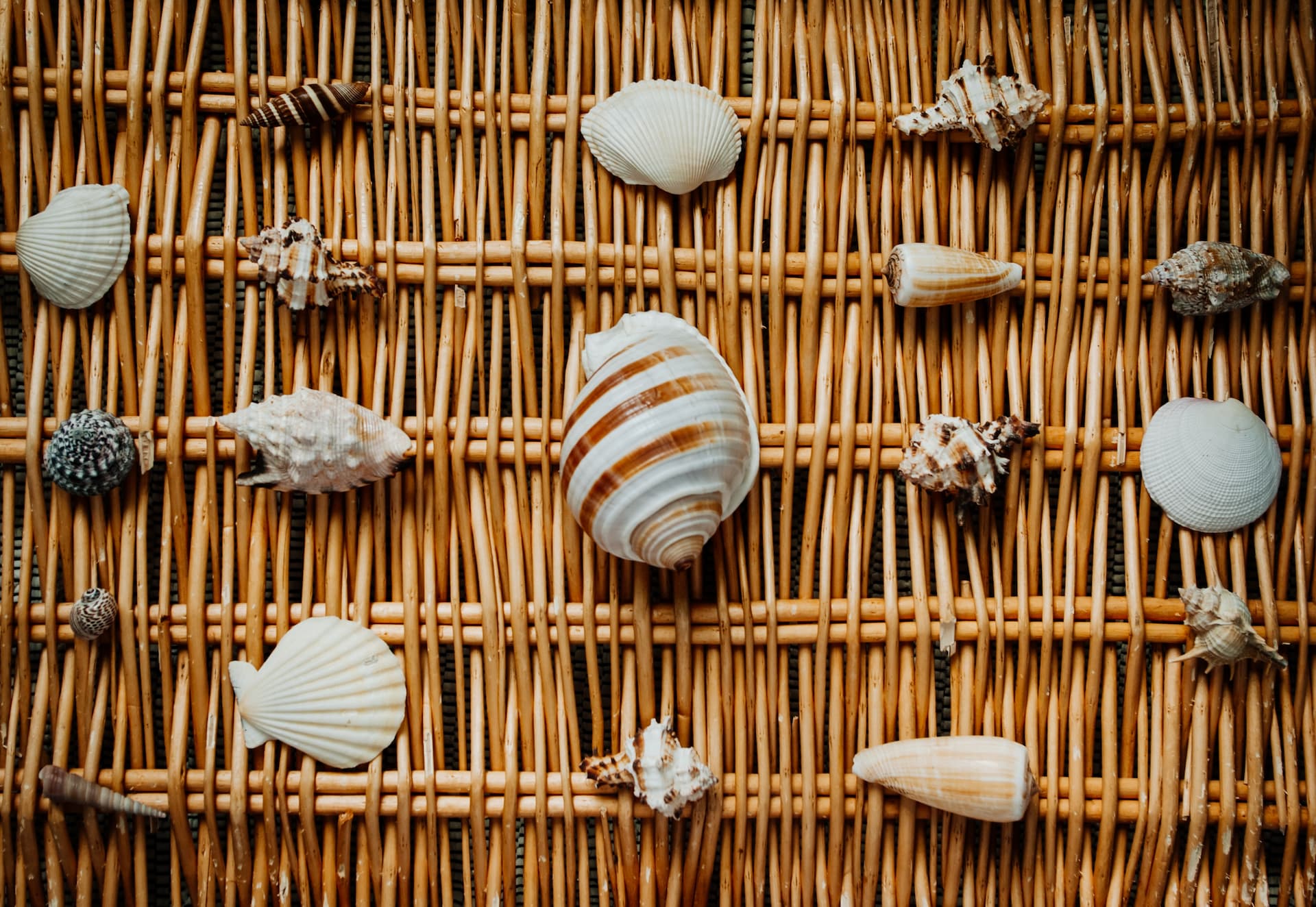 Las conchas en habitaciones son detalles de decoración bohemios